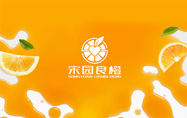 某良橙——重庆LOGO设计